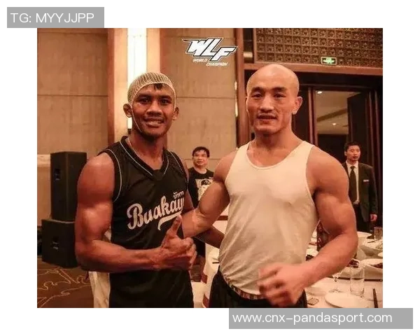 菲多艾米连科与一龙的巅峰对决谁将问鼎武林之巅